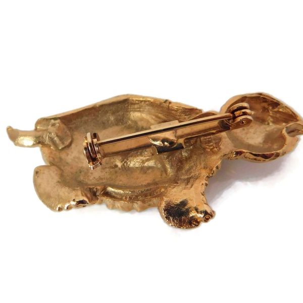 Back of Turtle Brooch