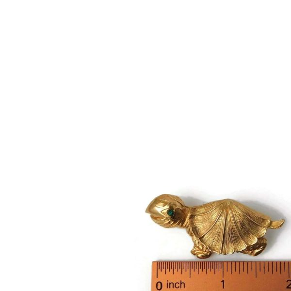 Turtle Brooch with Ruler for Scale