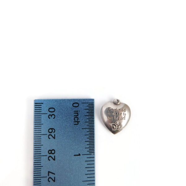 Walter Lampl Heart with ruler for scale