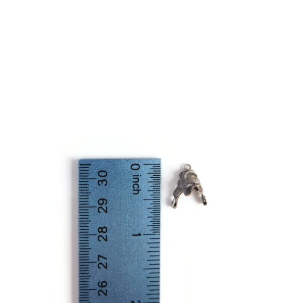 saddle charm with ruler for scale